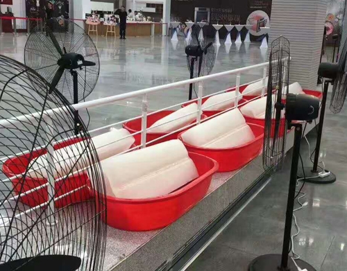 小猪视频APP下载冰塊案例