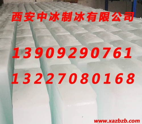 小猪视频APP下载冰塊哪家好