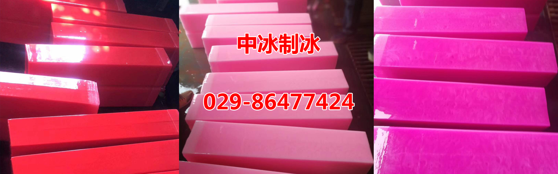 西安小猪视频APP在线观看用冰