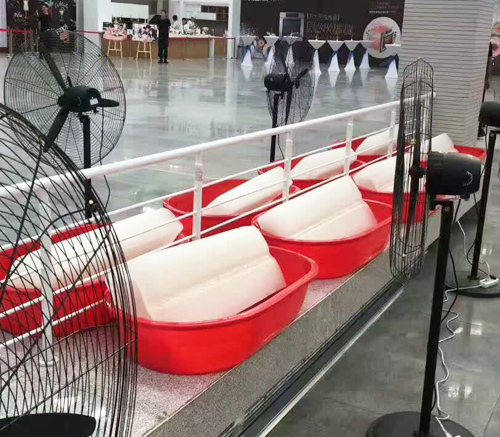 西安小猪视频APP下载冰塊