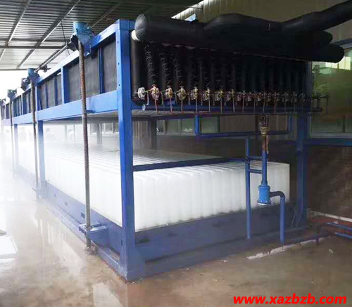 西安小猪视频APP在线观看用冰 西安小猪视频APP在线观看用冰